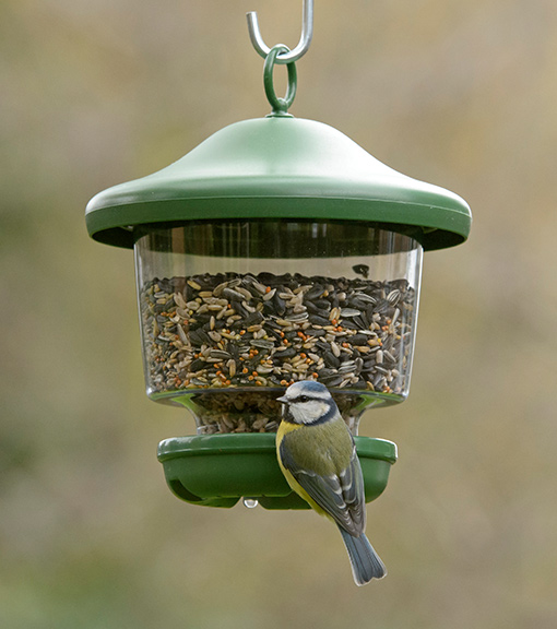 Bird Feeders for Feeding Wild Garden Birds RSPB Shop
